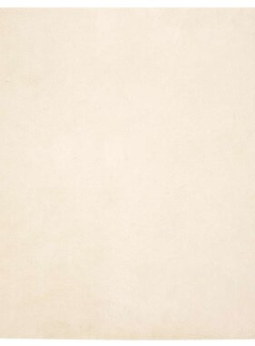 VidaXL Nep Konijnenbont Tapijt Crème 240 x 240 cm Polyester