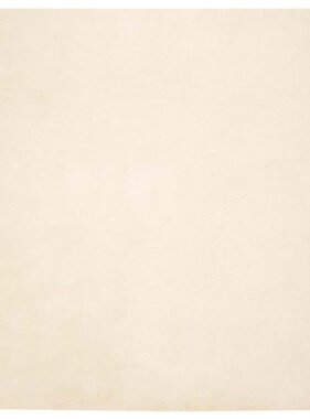 VidaXL Nep Konijnenbont Tapijt Crème 160 x 160 cm Polyester