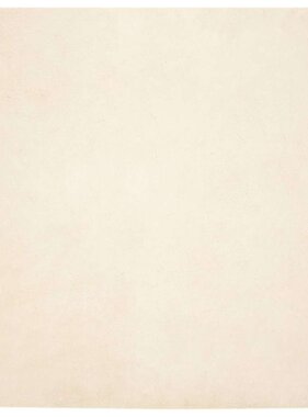 VidaXL Nep Konijnenbont Tapijt Crème 120 x 120 cm Polyester