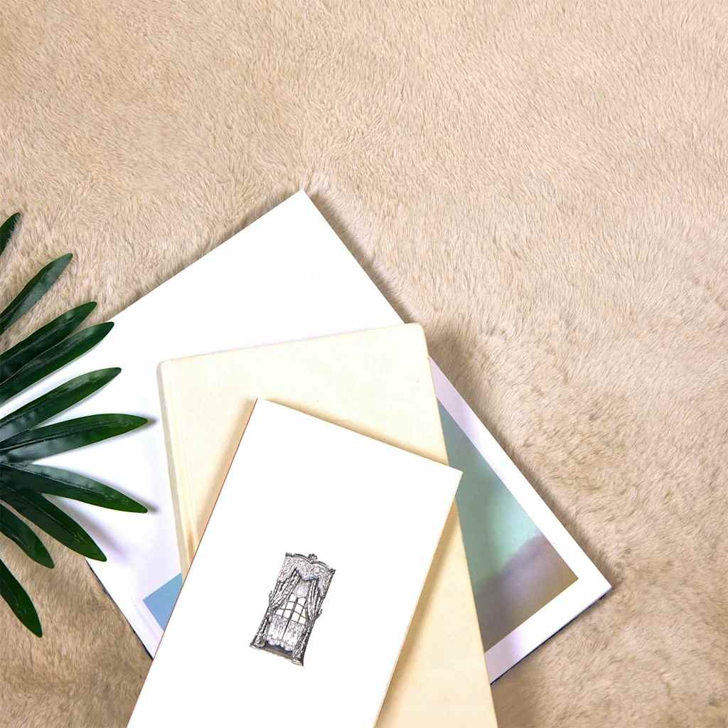 VidaXL Nep Konijnenbont Tapijt Beige Ø 160 cm Polyester