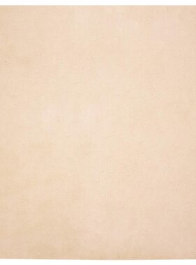 VidaXL Nep Konijnenbont Tapijt Beige 200 x 200 cm Polyester