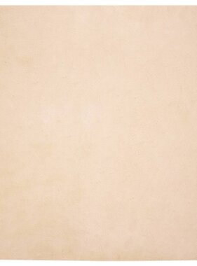 VidaXL Nep Konijnenbont Tapijt Beige 160 x 160 cm Polyester