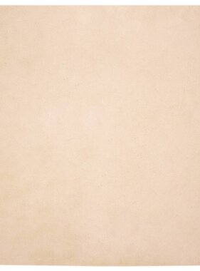 VidaXL Nep Konijnenbont Tapijt Beige 120 x 120 cm Polyester