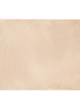 VidaXL Nep Konijnenbont Tapijt Beige 120 x 170 cm Polyester
