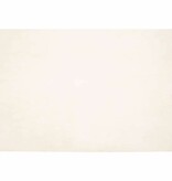 VidaXL Nep Konijnenbont Tapijt Wit 140 x 200 cm Polyester