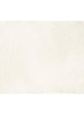 VidaXL Nep Konijnenbont Tapijt Wit 120 x 170 cm Polyester