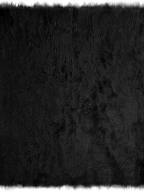 VidaXL Nepleer Schapenvacht Tapijt Zwart 160 x 160 cm Polyester