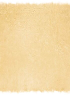 VidaXL Nepleer Schapenvacht Tapijt Crème 240 x 240 cm Polyester
