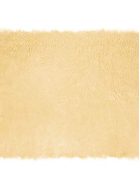 VidaXL Nepleer Schapenvacht Tapijt Crème 200 x 140 cm Polyester