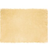 VidaXL Nepleer Schapenvacht Tapijt Crème 120 x 170 cm Polyester