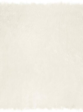 VidaXL Nepleer Schapenvacht Tapijt Wit 120 x 120 cm Polyester