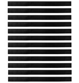 VidaXL Schroefbare Deurborstelafsluitingen 12 pcs Zwart 100 cm