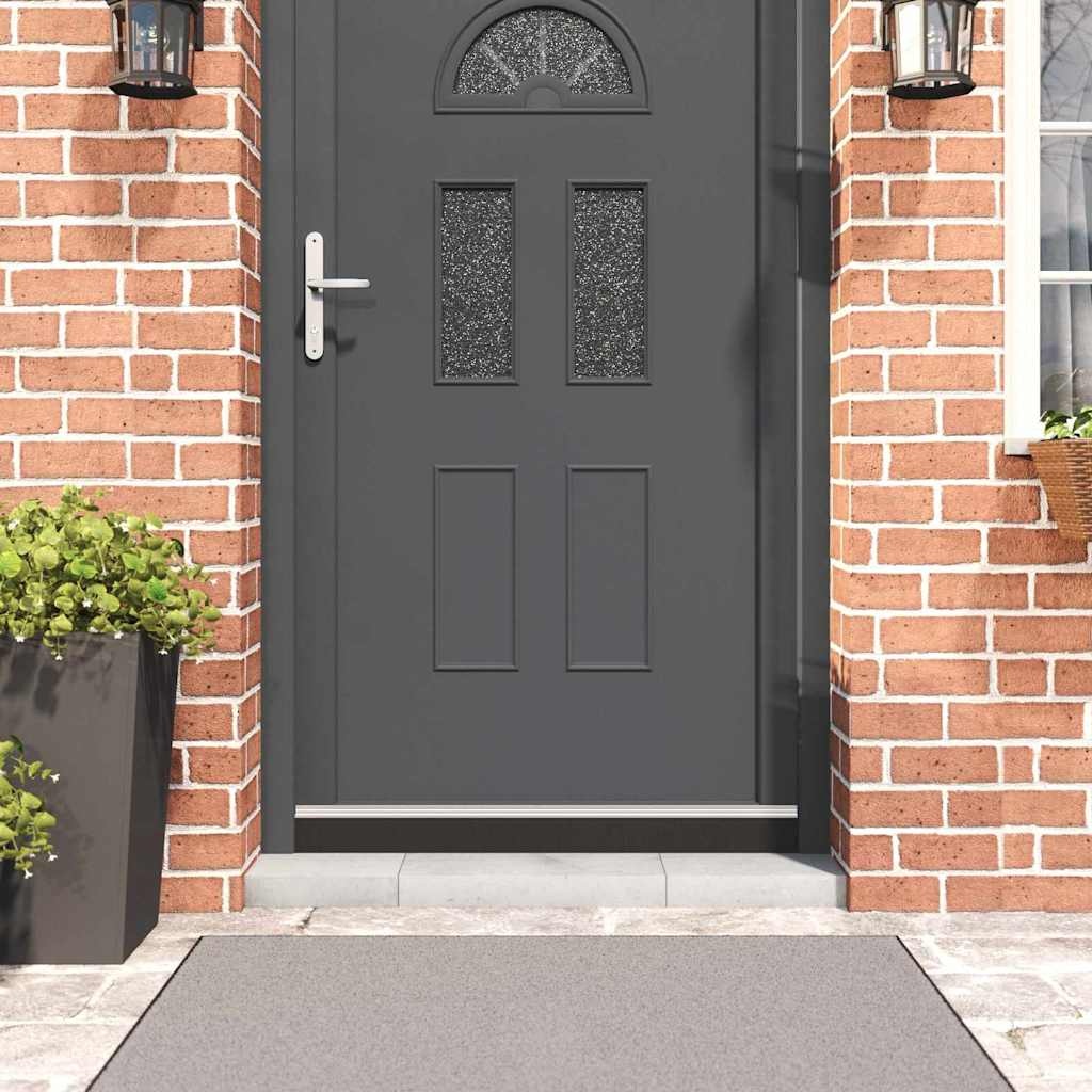 VidaXL Zelfklevende Deurborstels 2 pcs Zilver 100 cm