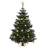 VidaXL Kerstboomstandaard Groen 50 x 50 x 16 cm Massief grenenhout