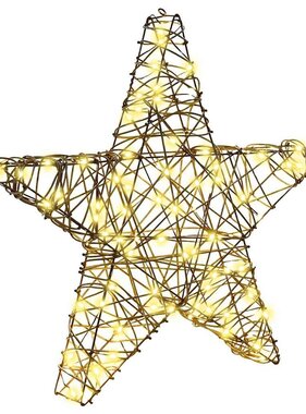 VidaXL 3D Ster met 50 LED Warmwit 55 x 52.5 x 9 cm Rattan