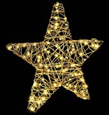 VidaXL 3D Ster met 50 LED Warmwit 55 x 52.5 x 9 cm Rattan