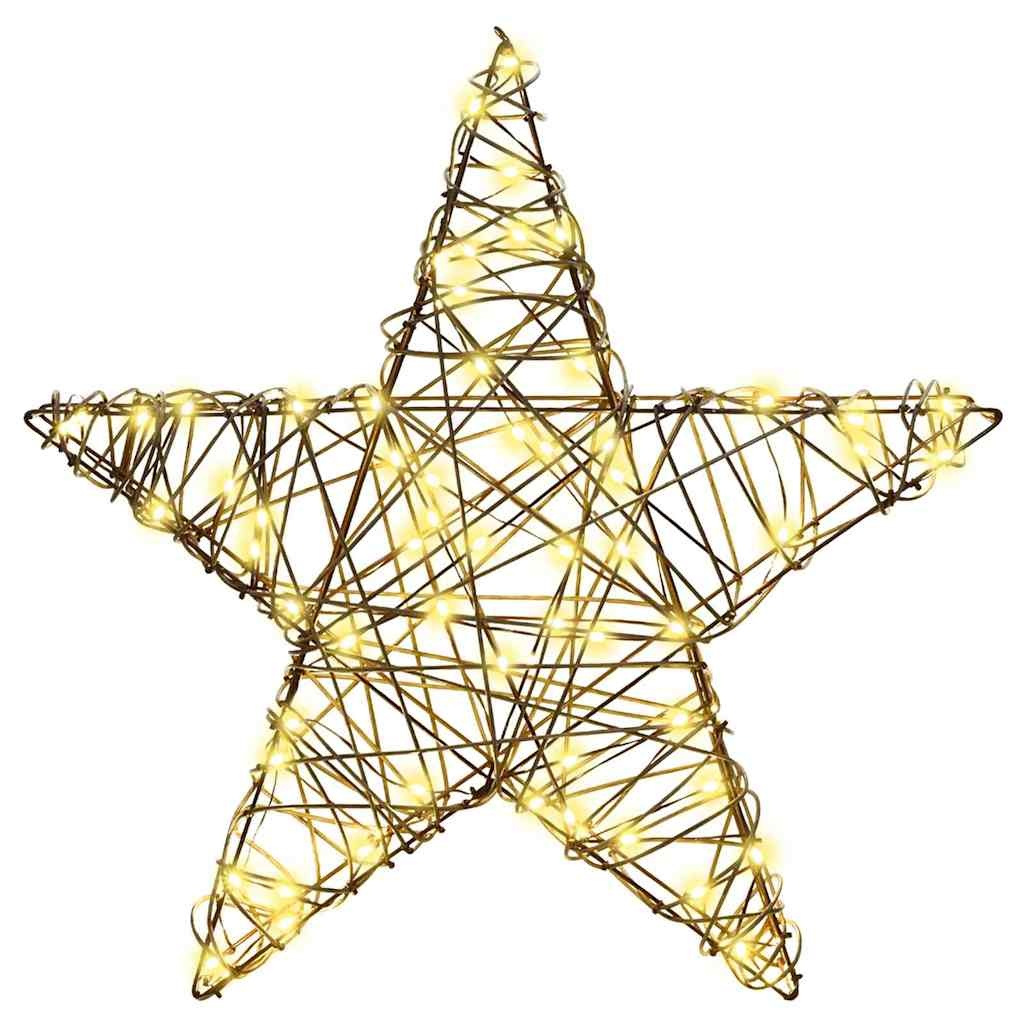 VidaXL 3D Ster met 50 LED Warmwit 55 x 52.5 x 9 cm Rattan