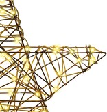 VidaXL 3D Ster met 50 LED Warmwit 55 x 52.5 x 9 cm Rattan