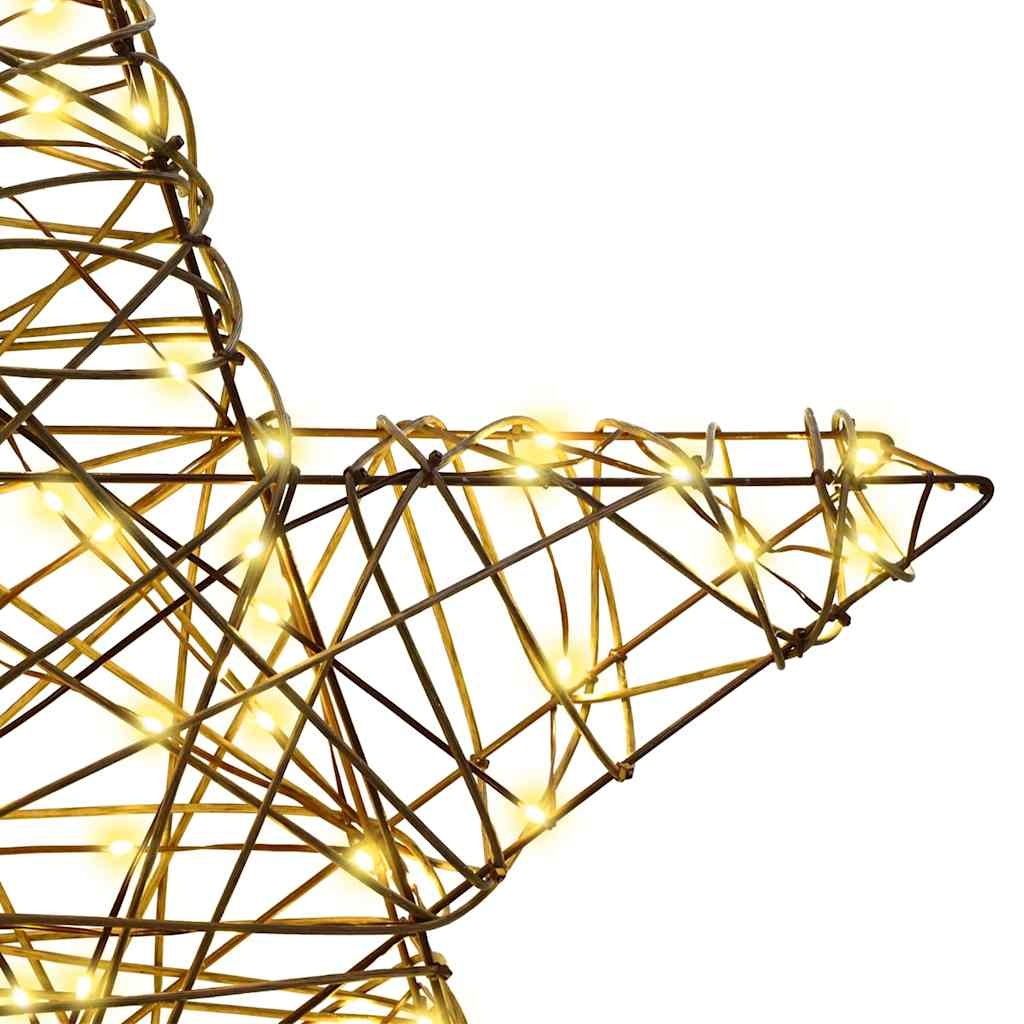 VidaXL 3D Ster met 50 LED Warmwit 55 x 52.5 x 9 cm Rattan