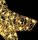 VidaXL 3D Ster met 50 LED Warmwit 55 x 52.5 x 9 cm Rattan