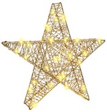 VidaXL 3D Ster met 50 LED Warmwit 55 x 52.5 x 9 cm PET