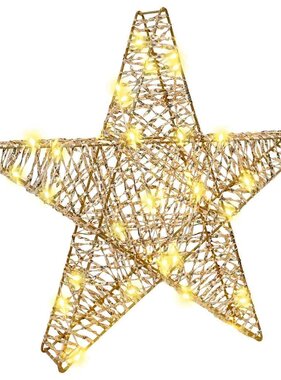 VidaXL 3D Ster met 50 LED Warmwit 55 x 52.5 x 9 cm PET
