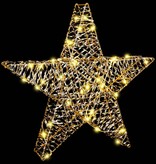 VidaXL 3D Ster met 50 LED Warmwit 55 x 52.5 x 9 cm PET