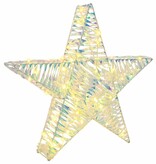 VidaXL 3D Ster met 50 LED Warmwit 55 x 52.5 x 9 cm PET