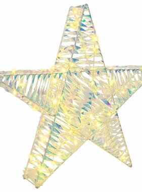 VidaXL 3D Ster met 50 LED Warmwit 55 x 52.5 x 9 cm PET