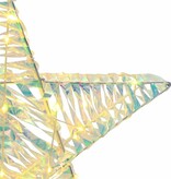 VidaXL 3D Ster met 50 LED Warmwit 55 x 52.5 x 9 cm PET