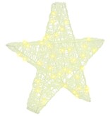 VidaXL 3D Ster met 50 LED Warmwit 55 x 53,5 x 10 cm Acryl
