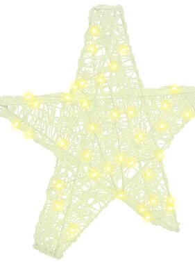 VidaXL 3D Ster met 50 LED Warmwit 55 x 53,5 x 10 cm Acryl