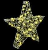 VidaXL 3D Ster met 50 LED Warmwit 55 x 53,5 x 10 cm Acryl