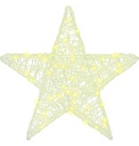 VidaXL 3D Ster met 50 LED Warmwit 55 x 53,5 x 10 cm Acryl