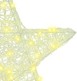 VidaXL 3D Ster met 50 LED Warmwit 55 x 53,5 x 10 cm Acryl