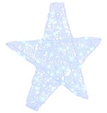 VidaXL 3D Ster met 50 LED Koudwit 55 x 53,5 x 10 cm Acryl