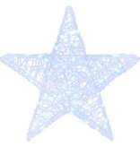 VidaXL 3D Ster met 50 LED Koudwit 55 x 53,5 x 10 cm Acryl