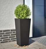 VidaXL Plantenbak 35x35x75 cm staal zwart