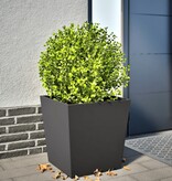 VidaXL Plantenbak 50x50x50 cm staal zwart