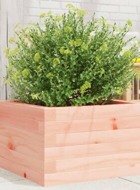VidaXL Plantenbak 40x40x23 cm massief douglashout