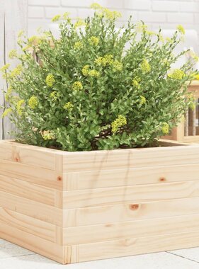 VidaXL Plantenbak 40x40x23 cm massief grenenhout