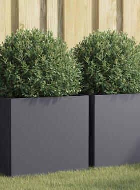 VidaXL Plantenbakken 2 st 49x47x46 cm staal antracietkleurig