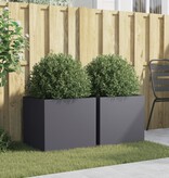 VidaXL Plantenbakken 2 st 49x47x46 cm staal antracietkleurig