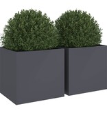 VidaXL Plantenbakken 2 st 49x47x46 cm staal antracietkleurig