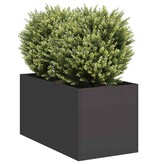 VidaXL Plantenbak 40x80x40 cm koudgewalst staal zwart