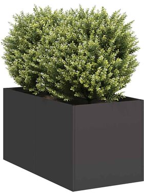 VidaXL Plantenbak 40x80x40 cm koudgewalst staal zwart