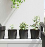 VidaXL Bloempot 50 pcs Zwart Ø 15 x 12.5 cm Kunststof