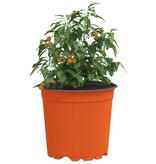 VidaXL Bloempot 200 pcs Keramiek Ø 15 x 12.5 cm Kunststof
