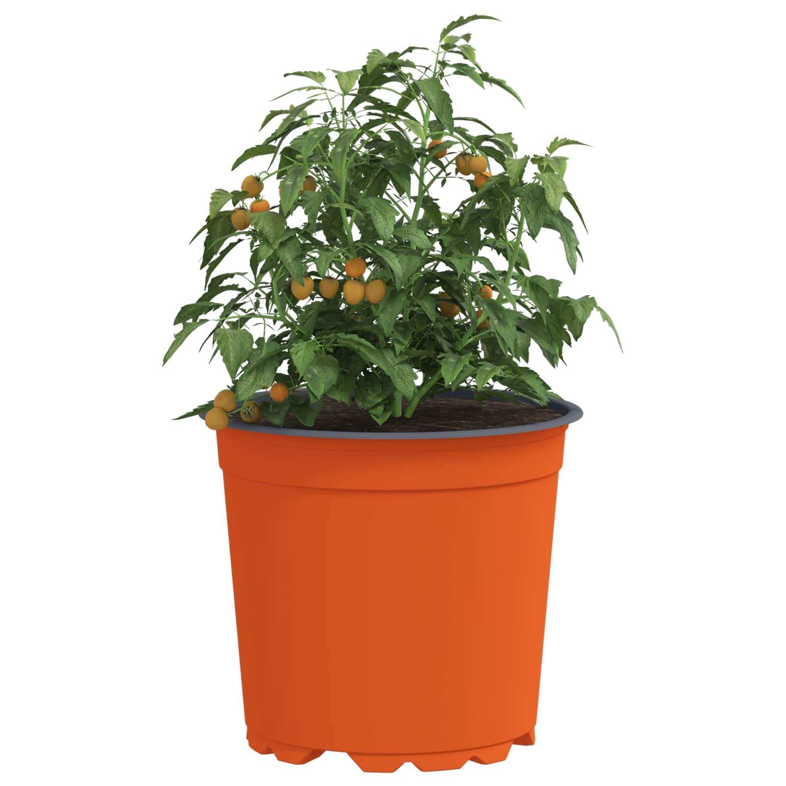VidaXL Bloempot 50 pcs Keramiek Ø 15 x 12.5 cm Kunststof