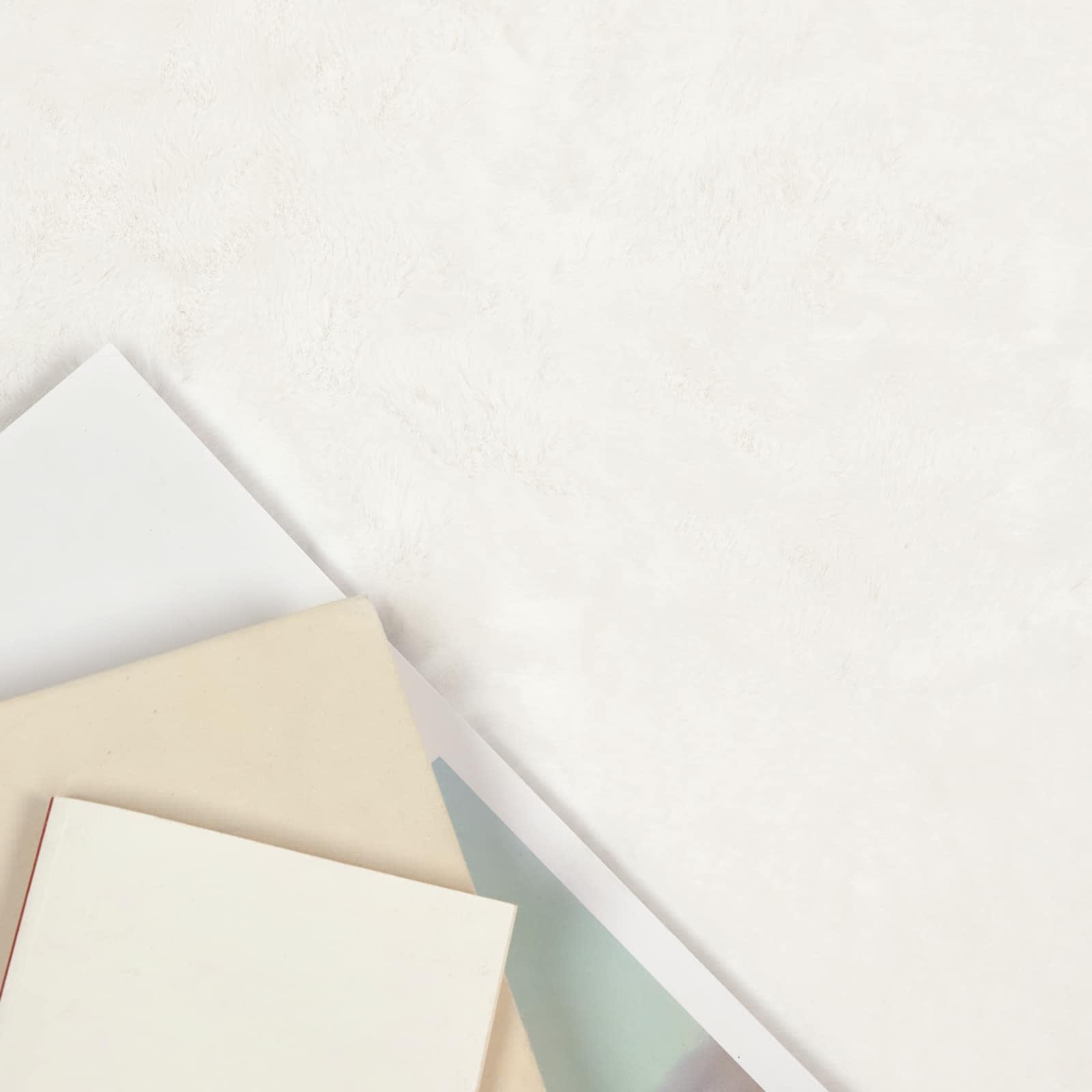 VidaXL Nep Konijnenbont Tapijt Olite Crème 60 x 90 cm Polyester